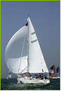 corporate sailing