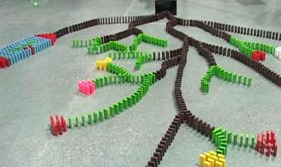 Large Group Team Building